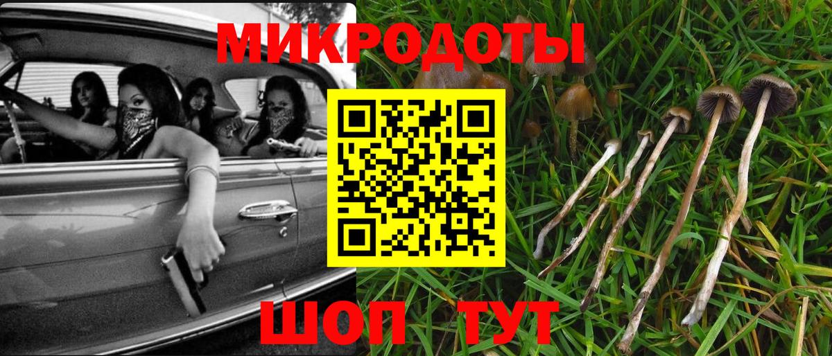 Псилоцибиновые грибы ЛСД Волжск
